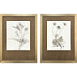 Neutral Botanical Wood Framed Wall Art 2PC
