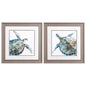 Neutral Sea Turtle Blue Framed Wall Art 2PC