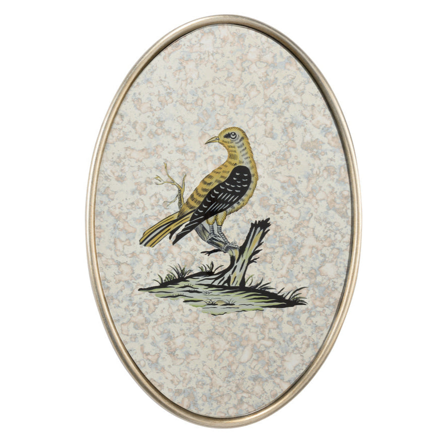 Oval Antiqued Mirrored Bird Canvas Art
