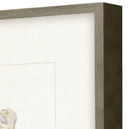 Oyster Shell Beige Framed Wall Art