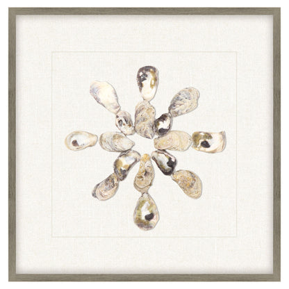Oyster Shell Beige Framed Wall Art