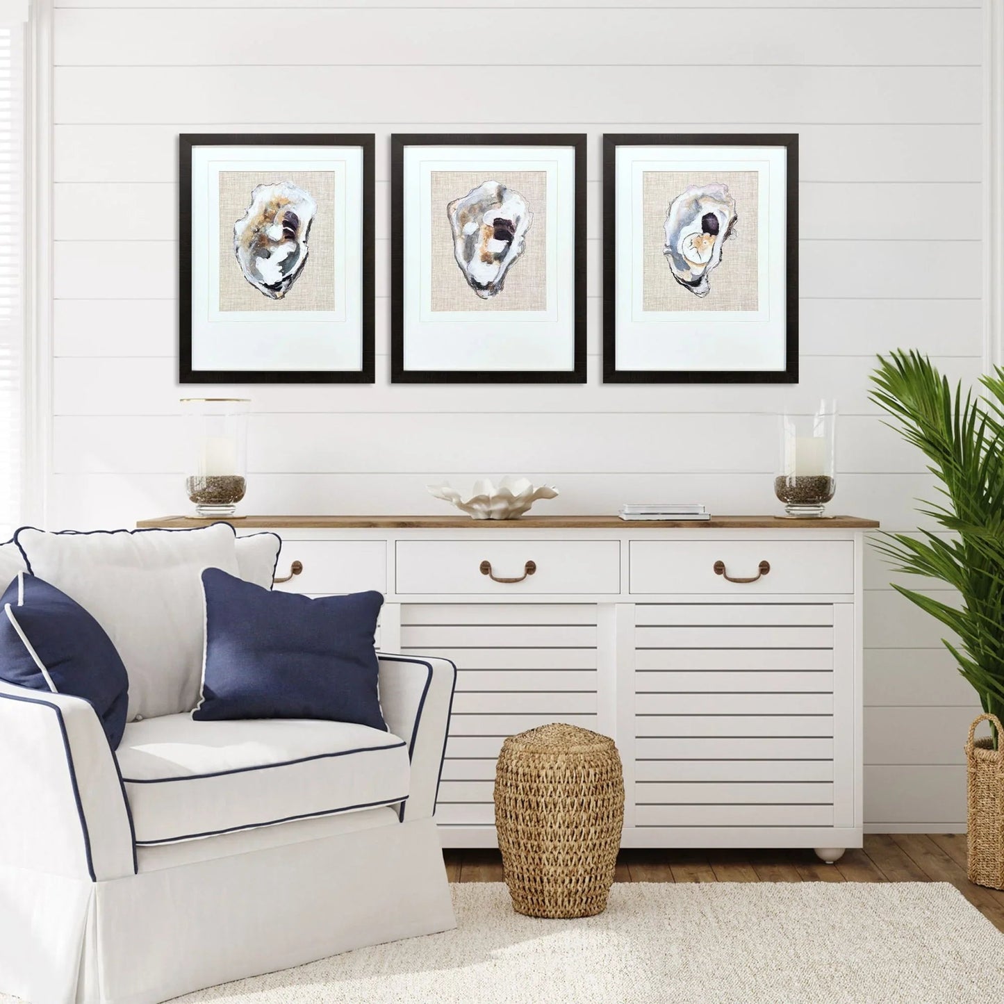 Oyster Shell Study Neutral Framed Wall Art 3PC