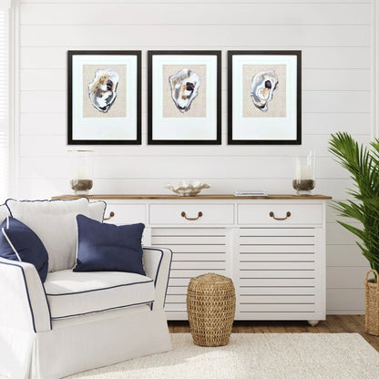 Oyster Shell Study Neutral Framed Wall Art 3PC