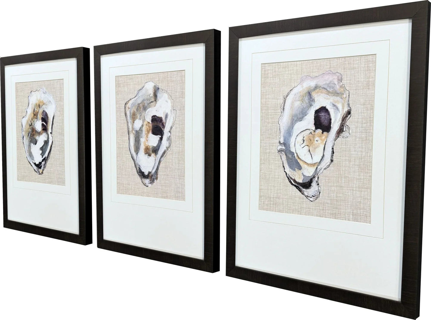 Oyster Shell Study Neutral Framed Wall Art 3PC