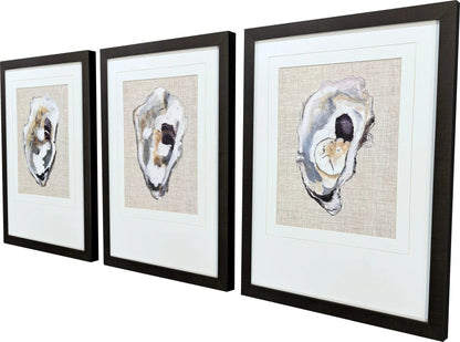 Oyster Shell Study Neutral Framed Wall Art 3PC