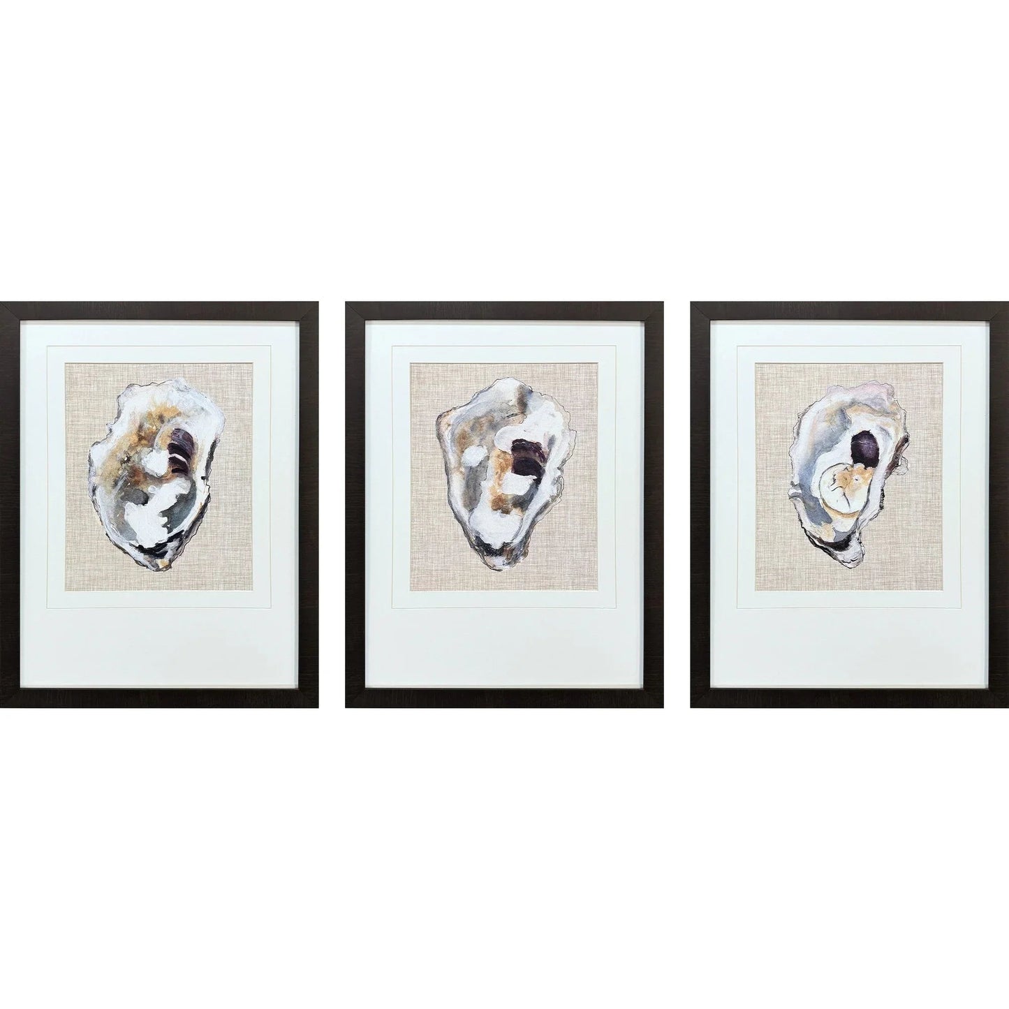 Oyster Shell Study Neutral Framed Wall Art 3PC