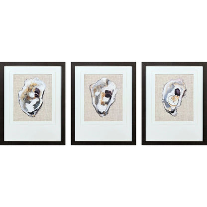 Oyster Shell Study Neutral Framed Wall Art 3PC