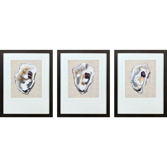 Oyster Shell Study Neutral Framed Wall Art 3PC