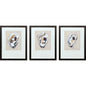 Oyster Shell Study Neutral Framed Wall Art 3PC