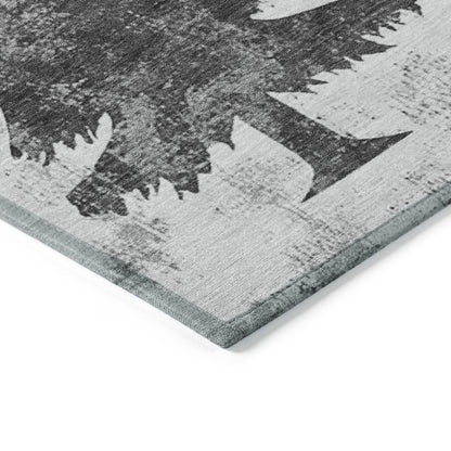 Paelion Gray Washable Indoor-Outdoor Rug