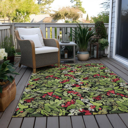 Paelora Black Washable Indoor-Outdoor Rug