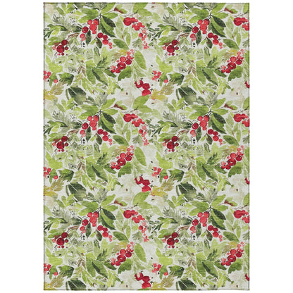 Paelora Green Washable Indoor-Outdoor Rug