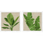 Palm Isle I Wood Green Framed Wall Art 2PC