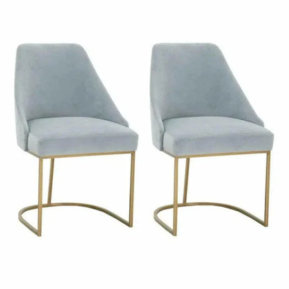 Parissa Performance Fabric Armless Dining Chair 2PC - LOOMLAN - Essentials For Living - Dining Chairs