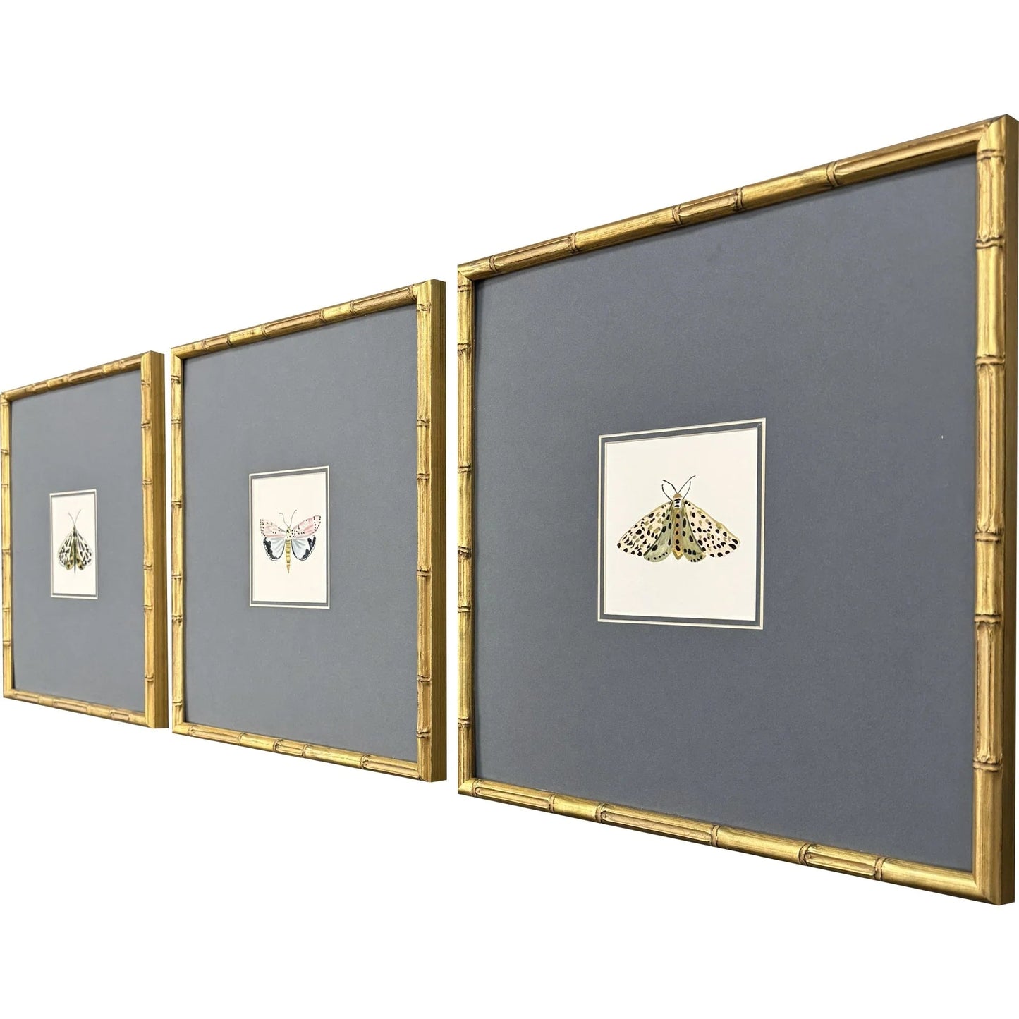 Pastel Moths Wood Green Framed Wall Art 3PC