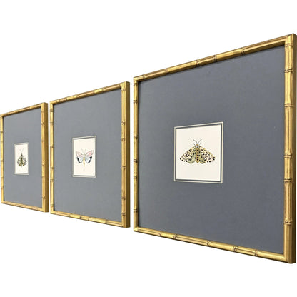 Pastel Moths Wood Green Framed Wall Art 3PC