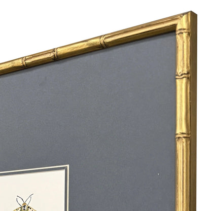 Pastel Moths Wood Green Framed Wall Art 3PC