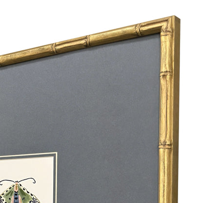 Pastel Moths Wood Green Framed Wall Art 3PC