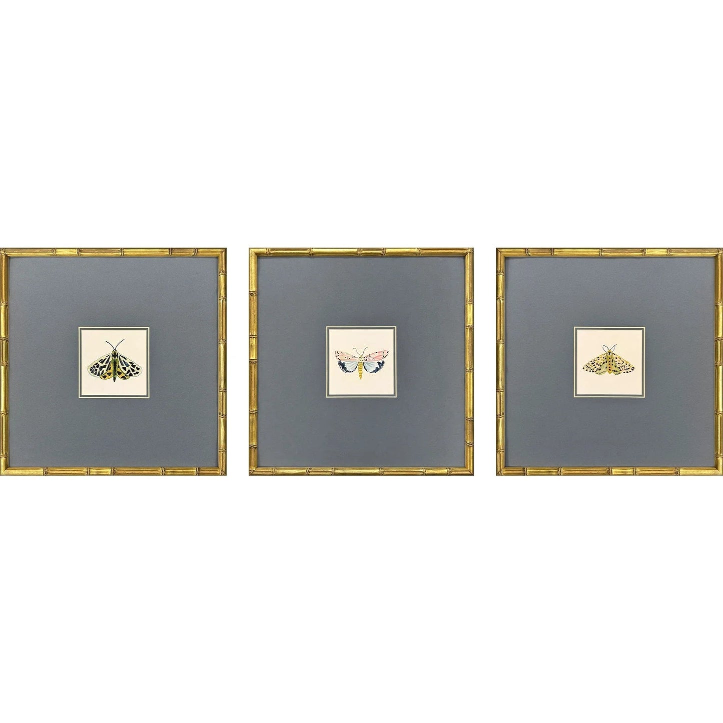 Pastel Moths Wood Green Framed Wall Art 3PC