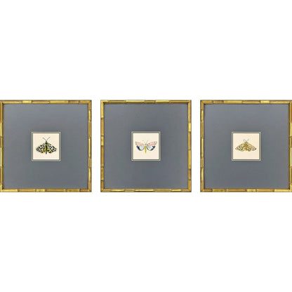 Pastel Moths Wood Green Framed Wall Art 3PC
