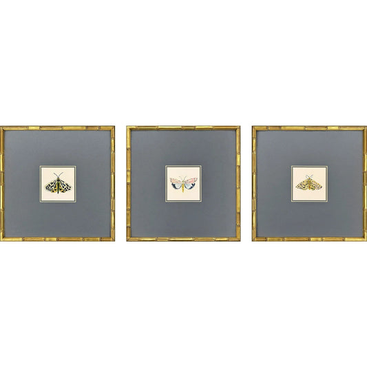 Pastel Moths Wood Green Framed Wall Art 3PC