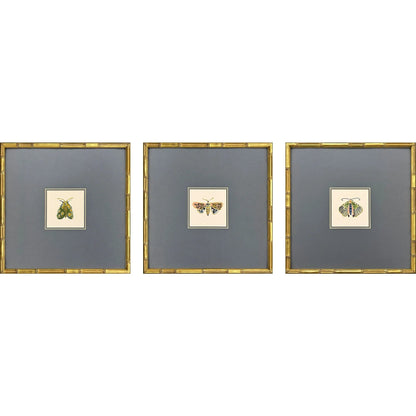 Pastel Moths Wood Green Framed Wall Art 3PC