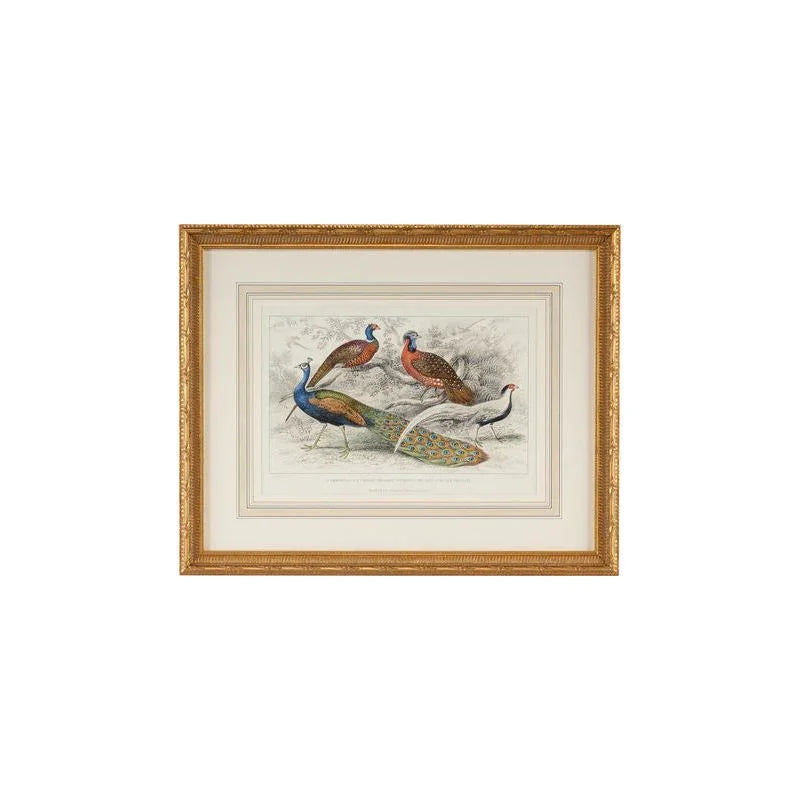 Peacock & Pheasants Gold Leafed Frame Artwork-Framed Wall Art-Chelsea House-LOOMLAN