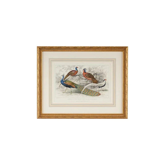 Peacock & Pheasants Gold Leafed Frame Artwork-Framed Wall Art-Chelsea House-LOOMLAN