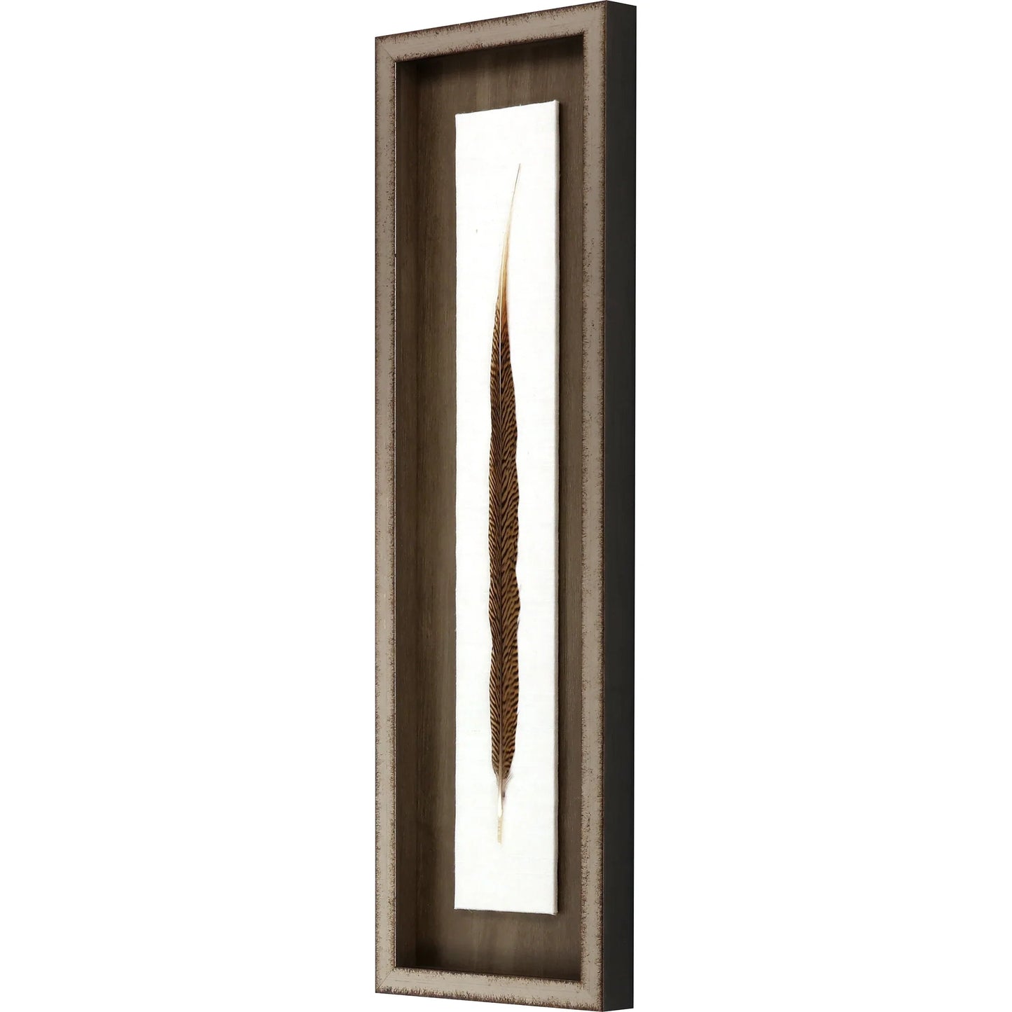 Pheasant Feather Wood Brown Framed Wall Art