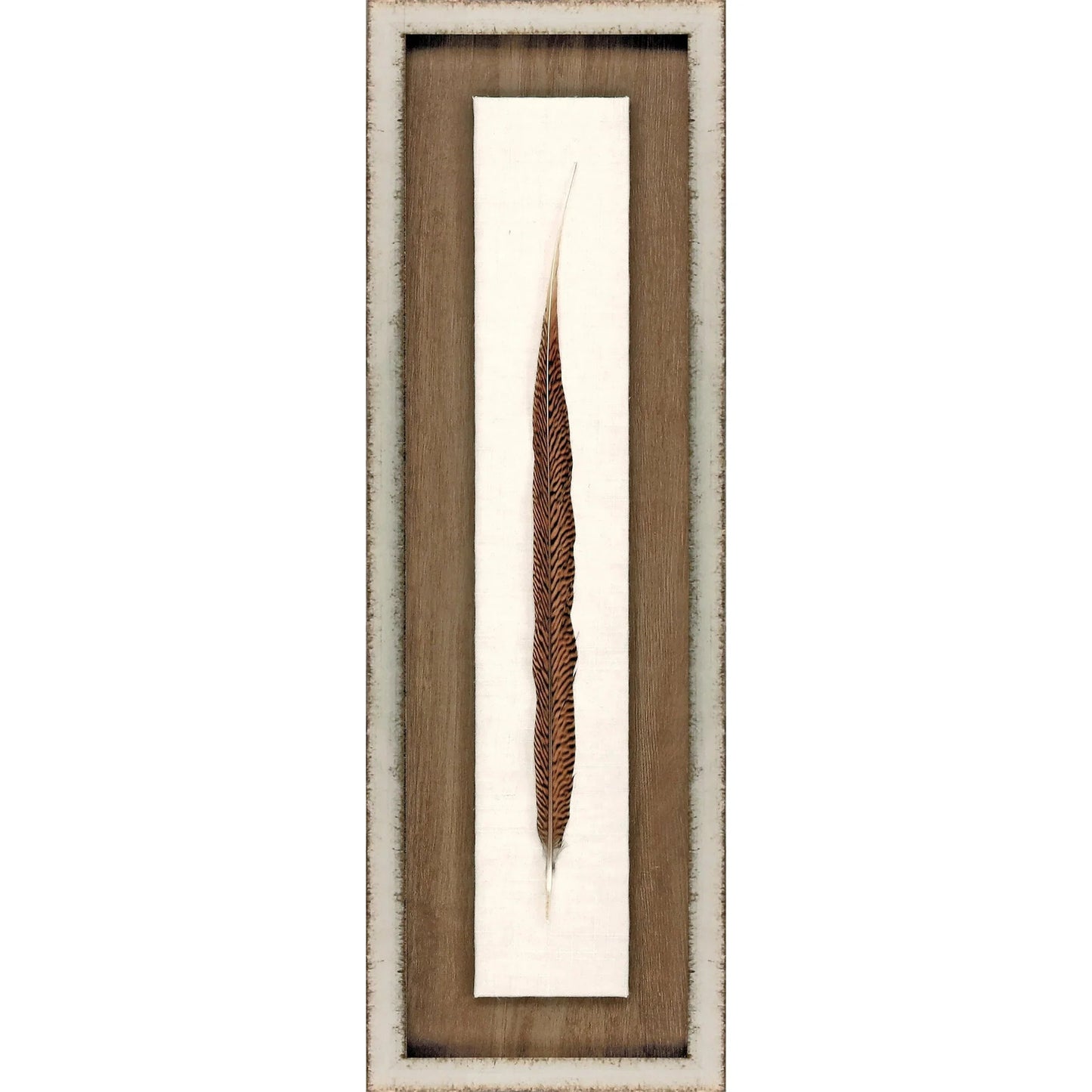 Pheasant Feather Wood Brown Framed Wall Art