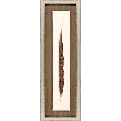 Pheasant Feather Wood Brown Framed Wall Art
