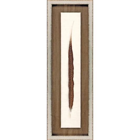 Pheasant Feather Wood Brown Framed Wall Art