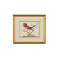 Pink Bird/Black Tail Gold Framed Watercolor Artwork-Framed Wall Art-Chelsea House-LOOMLAN