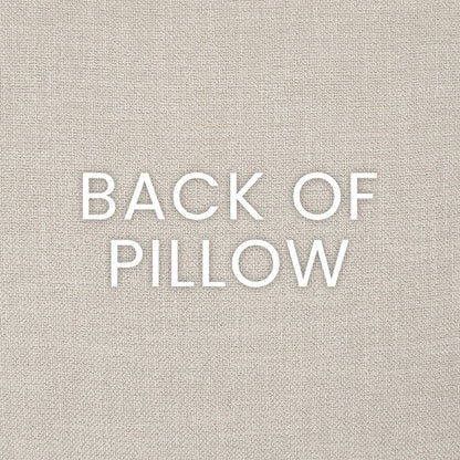 Pizazz Multicolor Throw Pillow