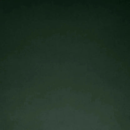 Posh Box Forest Green Throw Pillow Insert - LOOMLAN - D.V. Kap - Throw Pillows