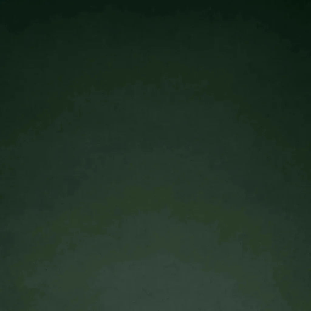 Posh Box Forest Solid Green Large Throw Pillow Insert - LOOMLAN - D.V. Kap - Throw Pillows