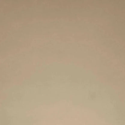 Posh Box Latte Brown Throw Pillow Insert - LOOMLAN - D.V. Kap - Throw Pillows