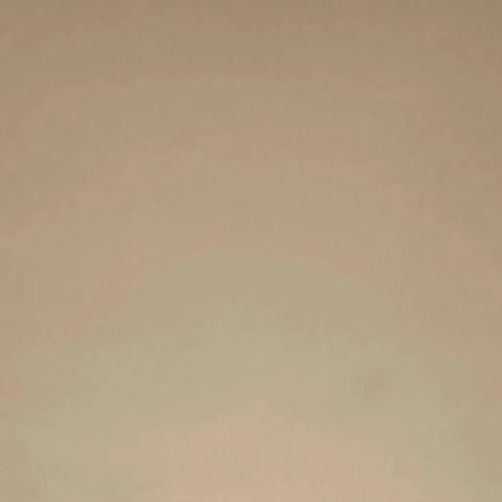 Posh Box Latte Solid Taupe Large Throw Pillow Insert - LOOMLAN - D.V. Kap - Throw Pillows