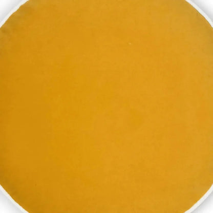 Posh Circle Mustard Yellow Throw Pillow Insert - LOOMLAN - D.V. Kap - Throw Pillows