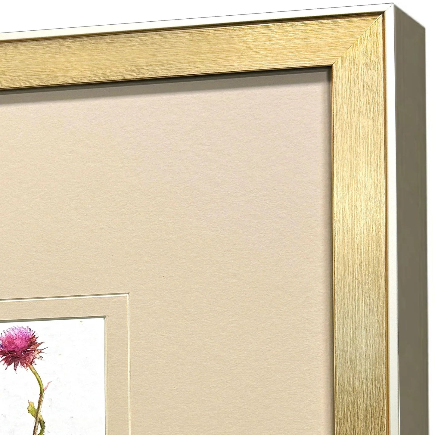 Pretty Florals Multi Framed Wall Art 3PC