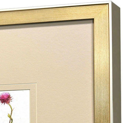 Pretty Florals Multi Framed Wall Art 3PC