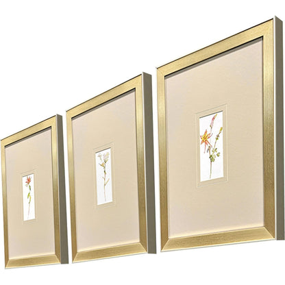 Pretty Florals Multi Framed Wall Art 3PC