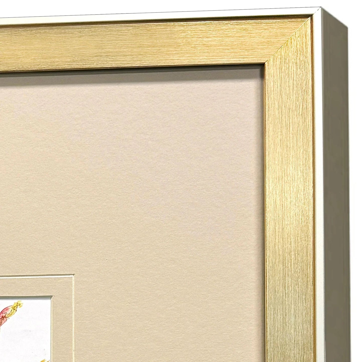 Pretty Florals Multi Framed Wall Art 3PC