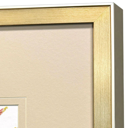 Pretty Florals Multi Framed Wall Art 3PC