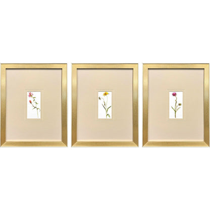 Pretty Florals Multi Framed Wall Art 3PC