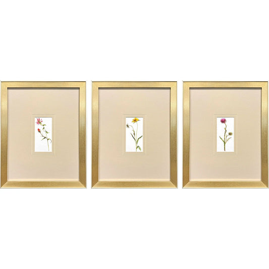 Pretty Florals Multi Framed Wall Art 3PC