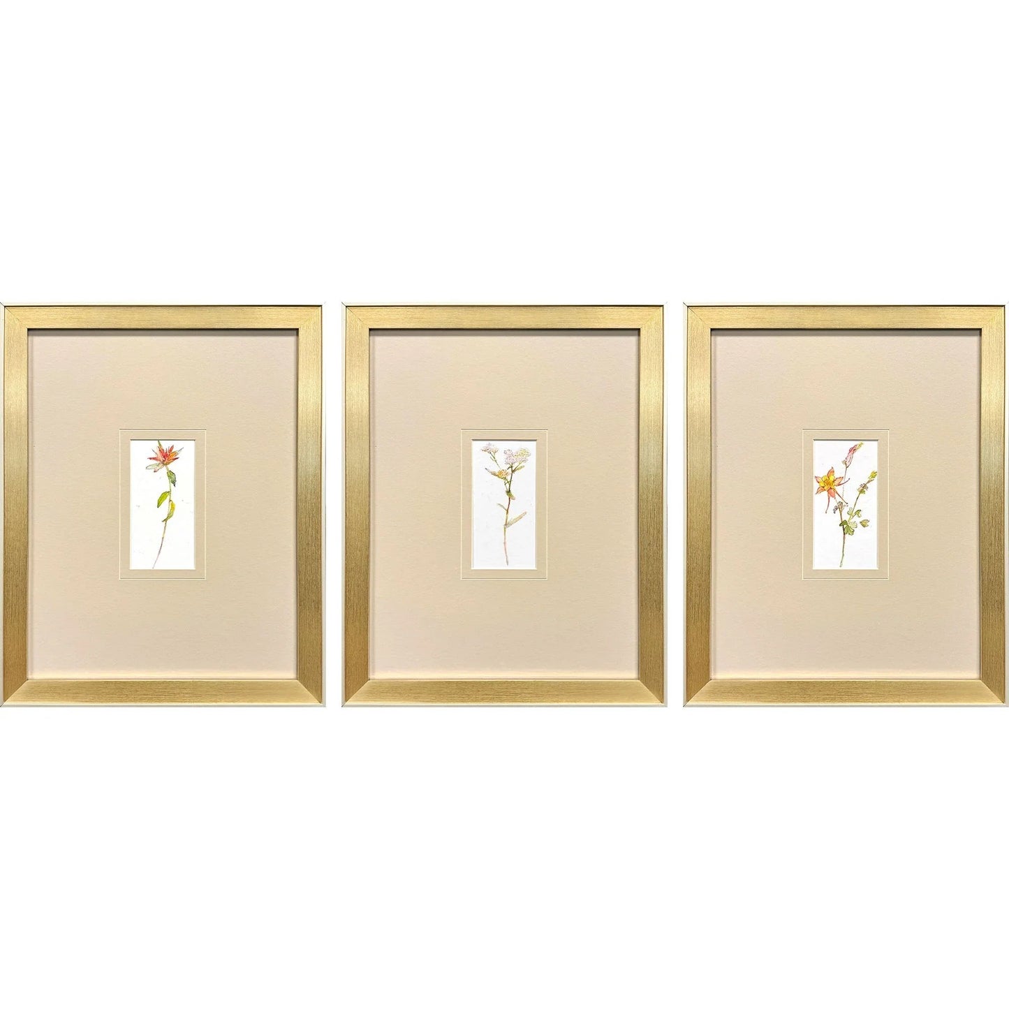 Pretty Florals Multi Framed Wall Art 3PC