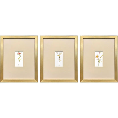 Pretty Florals Multi Framed Wall Art 3PC