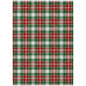 Quaanor Emerald Washable Indoor-Outdoor Rug