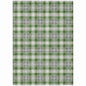 Quaanor Green Washable Indoor-Outdoor Rug
